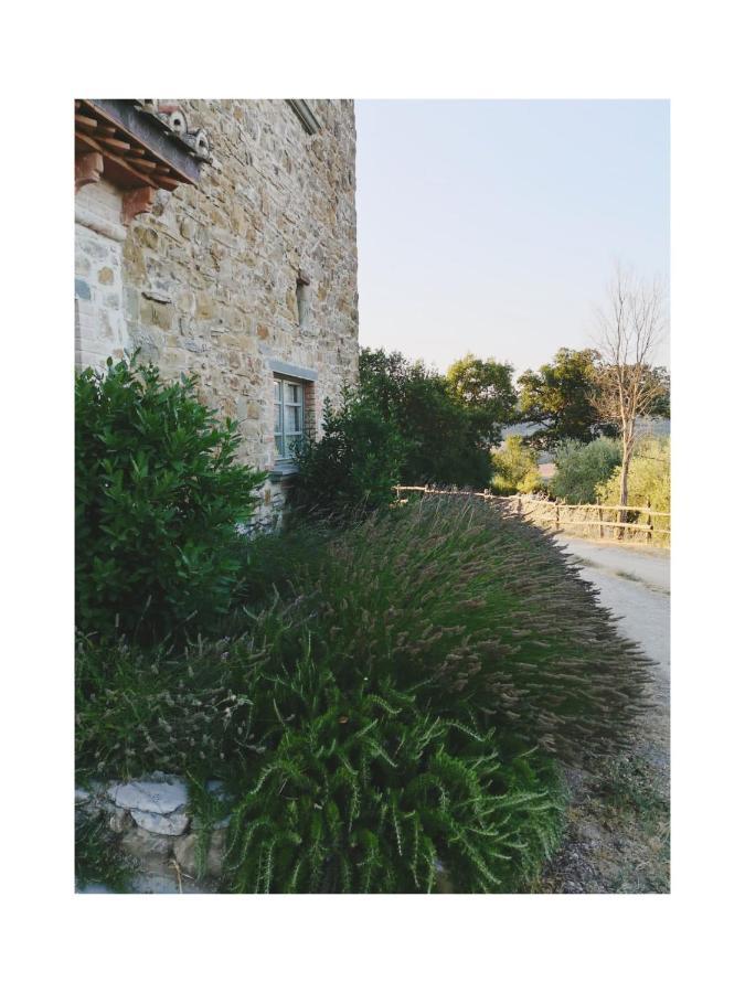 Podere Paradiso Vila Magione Exterior foto